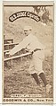 Terry, Pitcher, Brooklyn, from the Old Judge series (N172) for Old Judge Cigarettes, Goodwin & Company, Albumen photograph