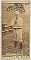 Terry, Pitcher, Brooklyn, from the Old Judge series (N172) for Old Judge Cigarettes, Goodwin & Company, Albumen photograph