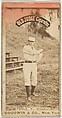 Toole, Pitcher, Brooklyn, from the Old Judge series (N172) for Old Judge Cigarettes, Goodwin & Company, Albumen photograph