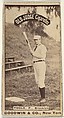 Toole, Pitcher, Brooklyn, from the Old Judge series (N172) for Old Judge Cigarettes, Goodwin & Company, Albumen photograph