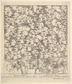 Characters and Caricaturas, William Hogarth  British, Etching; second state of two