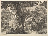 Wooded landscape, Raphael Sadeler II  Flemish, Engraving