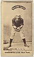 Bill Collins, Catcher, New York, from the Old Judge series (N172) for Old Judge Cigarettes, Goodwin & Company, Albumen photograph
