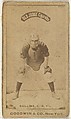 Bill Collins, Catcher, New York, from the Old Judge series (N172) for Old Judge Cigarettes, Goodwin & Company, Albumen photograph