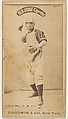 Bill Collins, Catcher, New York, from the Old Judge series (N172) for Old Judge Cigarettes, Goodwin & Company, Albumen photograph