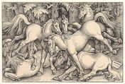 Group of Seven Horses, Hans Baldung (called Hans Baldung Grien) (German, Schwäbisch Gmünd (?) 1484/85–1545 Strasbourg), Woodcut