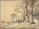 Deer under Beech Trees in Summer, Hendrik Gerrit ten Cate Dutch, Watercolor, black chalk; framing lines in graphite