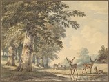 Deer under Beech Trees in Winter, Hendrik Gerrit ten Cate Dutch, Watercolor, over black chalk; framing lines in graphite