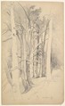 Trees near Diessen, Carl Maria Nicolaus Hummel  German, Graphite