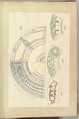 Six Designs for Decorated Plates, Alfred Henry Forrester [Alfred Crowquill]  British, Pen and ink, watercolor