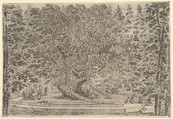 A large tree with people below, from "Views of the villa at Pratolino" (Vues de la villa de Pratolino), Stefano della Bella Italian, Etching
