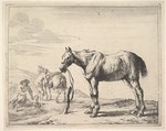 Horse Bound to a Post, turned left, from "The Horses", Dirck Stoop  Dutch, Etching