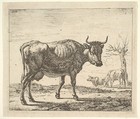Three Cows, plate 5 from "Different Animals", Adriaen van de Velde  Dutch, Etching