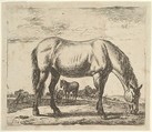 Grazing Horse, plate 7 from "Different Animals", Adriaen van de Velde  Dutch, Etching
