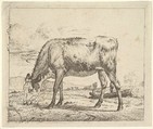 Grazing Calf, plate 8 from "Different Animals", Adriaen van de Velde  Dutch, Etching