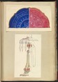 Designs for Two Decorated Plates and a Candleholder with Cut Glass Drops, Alfred Henry Forrester [Alfred Crowquill]  British, Pen and ink, watercolor and gouache (bodycolor)