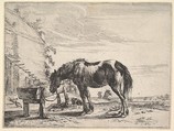 Horse Bound to a Feeding Trough, from "The Horses", Dirck Stoop  Dutch, Etching