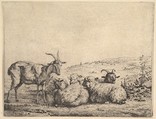 Two Goats and Three Sheep, Karel Dujardin Dutch, Etching; third of three states