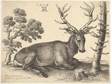 Stag lying to right, Wenceslaus Hollar Bohemian, Etching; only state