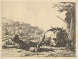 Cow, adult sheep, and young sheep lying in the grass; beyond, a shepherd stands partially behind a tree, Karel Dujardin Dutch, Etching