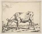 Cow, after Paulus Potter, Marcus de Bye Dutch, Etching