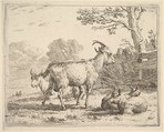 Four goats; at the back a nanny goat lies on the ground, in the middle a billy goat stands, in the front two kids lie on the ground, a fence and tree beyond, Karel Dujardin Dutch, Etching