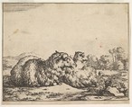 Sheep, from a set of 16 plates, Marcus de Bye Dutch, Etching