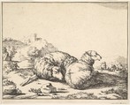 Sheep, from a set of 16 plates, Marcus de Bye Dutch, Etching