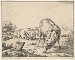 Sheep, from a set of 16 plates, Marcus de Bye Dutch, Etching