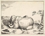 Plate from "The Set of The Bears", Marcus de Bye  Dutch, Etching
