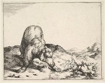 Plate from "The Set of The Bears", Marcus de Bye  Dutch, Etching