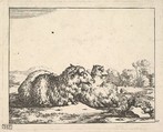 Sheep, from a set of 16 plates, Marcus de Bye Dutch, Etching