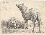 Two sheep, one shown frontally in a reclining position with its legs folded underneath the body, to the right a standing sheep shown from behind in three-quarters view, a grassy field below them and beyond, Karel Dujardin Dutch, Etching