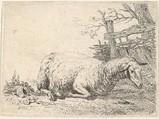 A sheep lying with its legs folded underneath its body next to a wooden fence, the sheep in profile view, Karel Dujardin Dutch, Etching