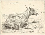 Partially shorn sheep lying in the grass with insects hovering around its head, Karel Dujardin Dutch, Etching