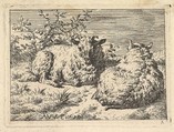 Two Recumbent Sheep, Adriaen van de Velde  Dutch, Etching