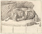 Sleeping Dog, Cornelis Ploos van Amstel  Dutch, Etching