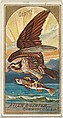 Osprey, from the Birds of America series (N4) for Allen & Ginter Cigarettes Brands, Allen & Ginter American, Commercial color lithograph
