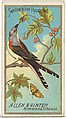 Swallow-tailed Flycatcher, from the Birds of America series (N4) for Allen & Ginter Cigarettes Brands, Allen & Ginter American, Commercial color lithograph