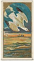Seagull, from the Birds of America series (N4) for Allen & Ginter Cigarettes Brands, Allen & Ginter American, Commercial color lithograph