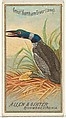 Great Northern Diver (Loon), from the Birds of America series (N4) for Allen & Ginter Cigarettes Brands, Allen & Ginter American, Commercial color lithograph