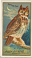 Issued by Allen & Ginter | Horned Owl, from the Birds of America series ...