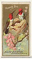 Hummingbird, from the Birds of America series (N4) for Allen & Ginter Cigarettes Brands, Allen & Ginter American, Commercial color lithograph