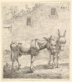 Two donkeys standing in a grassy yard, one in profile view facing right and another behind in three-quarter view, a dog and a building wall with two windows beyond, Karel Dujardin Dutch, Etching