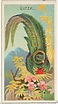 Quetzal, from the Birds of the Tropics series (N5) for Allen & Ginter Cigarettes Brands, Allen & Ginter American, Commercial color lithograph