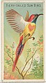 Fiery-Tailed Sun Bird, from the Birds of the Tropics series (N5) for Allen & Ginter Cigarettes Brands, Allen & Ginter American, Commercial color lithograph