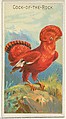 Cock-of-the-Rock, from the Birds of the Tropics series (N5) for Allen & Ginter Cigarettes Brands, Allen & Ginter American, Commercial color lithograph