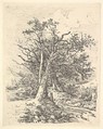 Tree Trunks and Lane, John Crome  British, Softground etching on chine collé
