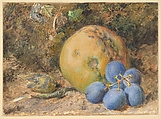 An apple, grapes and a hazelnut on a mossy bank, William Henry Hunt  British, Watercolor and graphite, heightened with white