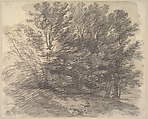A clump of trees, Thomas Gainsborough British, Graphite, brush and gray wash